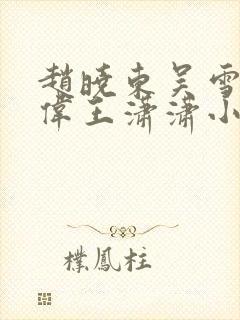 赵晓东吴雪晴郑伟王潇潇小说