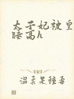 太子妃被皇上强睡高h