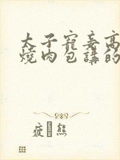 太子宠妾高肉红烧肉包讲的什么