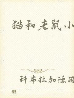 猫和老鼠小说