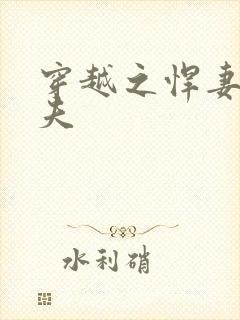 穿越之悍妻共三夫