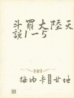 斗罗大陆天狂传说1一5