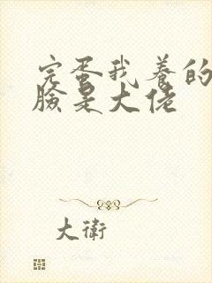 完蛋我养的小白脸是大佬