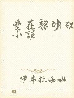 爱在黎明破晓前小说