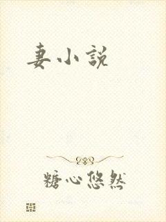 妻小说