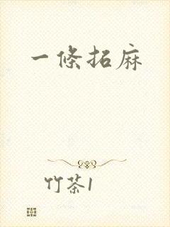 一条拓麻
