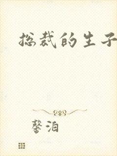 总裁的生子情人