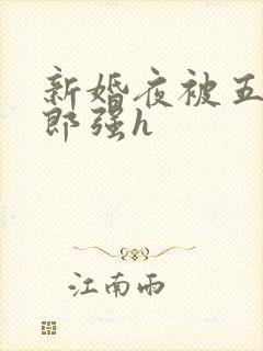 新婚夜被五个伴郎强h
