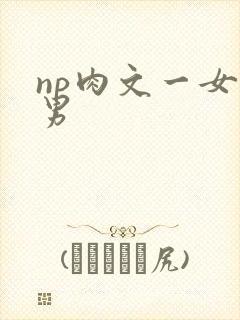 np肉文一女多男