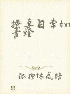 撩妻日常txt青灯