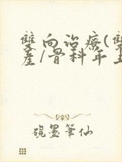 双向治疗(双/产/骨科年上)