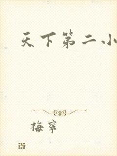 天下第二小说