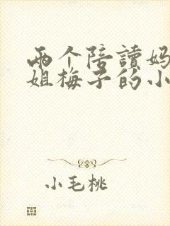 两个陪读妈妈赵姐梅子的小说