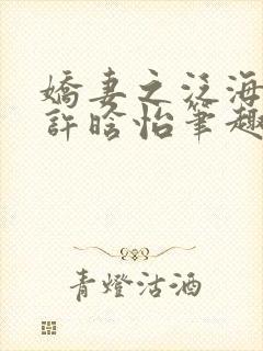 娇妻之泛海之舟许晗怡笔趣阁