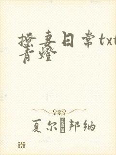 撩妻日常txt青灯