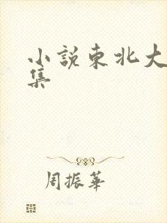 小说东北大炕全集