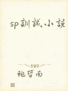 sp训诫小说