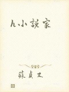 h小说家