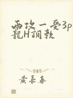两攻一受3p双龙H调教