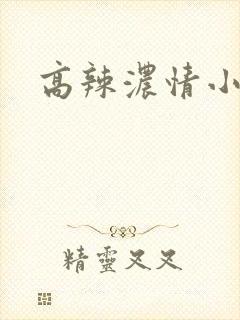 高辣浓情小说