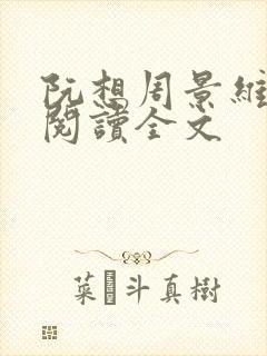 阮想周景维免费阅读全文