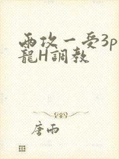 两攻一受3p双龙H调教
