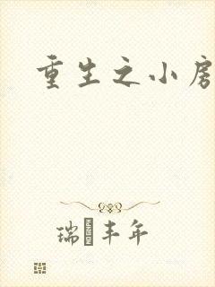 重生之小房东