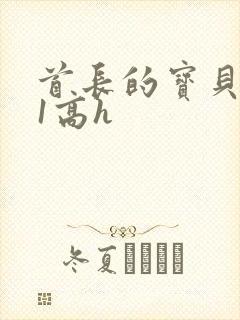 首长的宝贝1v1高h