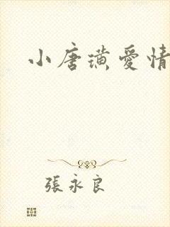 小唐璜爱情历史