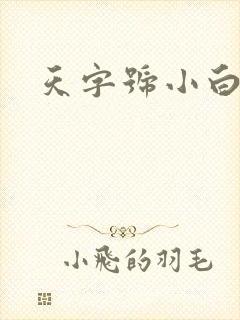 天字号小白脸
