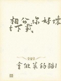 相公你好坏txt下载
