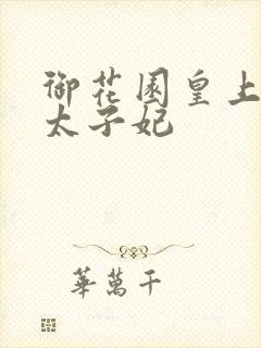 御花园皇上撞着太子妃