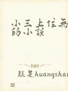 小三上位无三观的小说