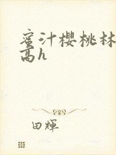 蜜汁樱桃林妙妙高h