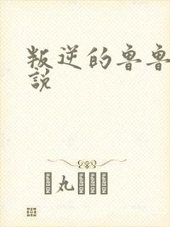 叛逆的鲁鲁修小说