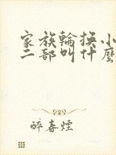 家族轮换小说第二部叫什么名字
