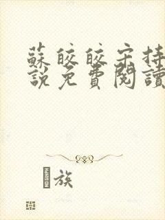 苏皎皎宋持的小说免费阅读