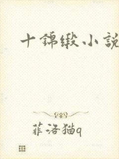 十锦缎小说