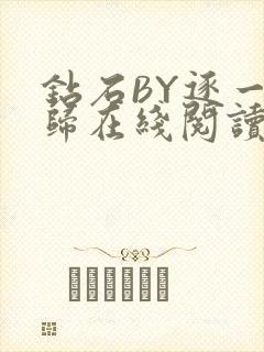 钻石BY逐一而归在线阅读