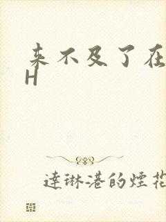 来不及了在车CH