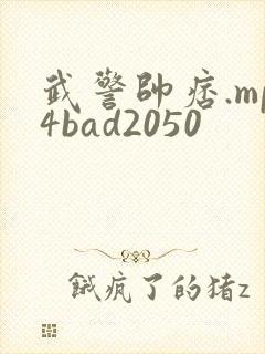 武警帅痞.mp4bad2050