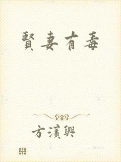 贤妻有毒