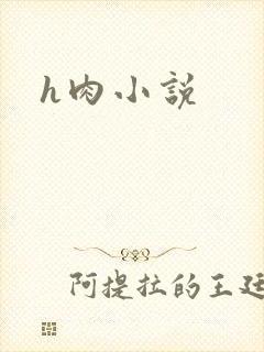 h肉小说