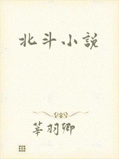 北斗小说