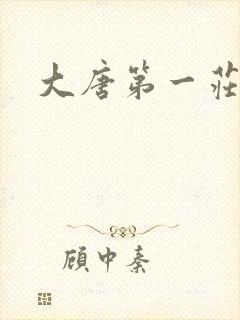 大唐第一庄