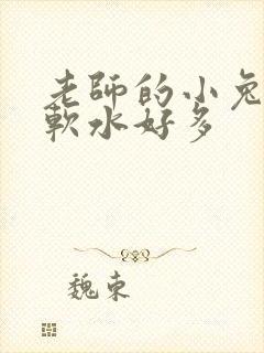 老师的小兔子好软水好多