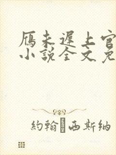 雁未迟上官穿越小说全文免费阅读