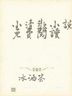 小清欢小说全文免费阅读