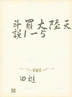 斗罗大陆天狂传说1一5