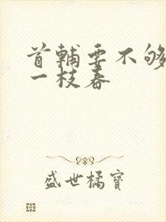 首辅要不够po一枝春